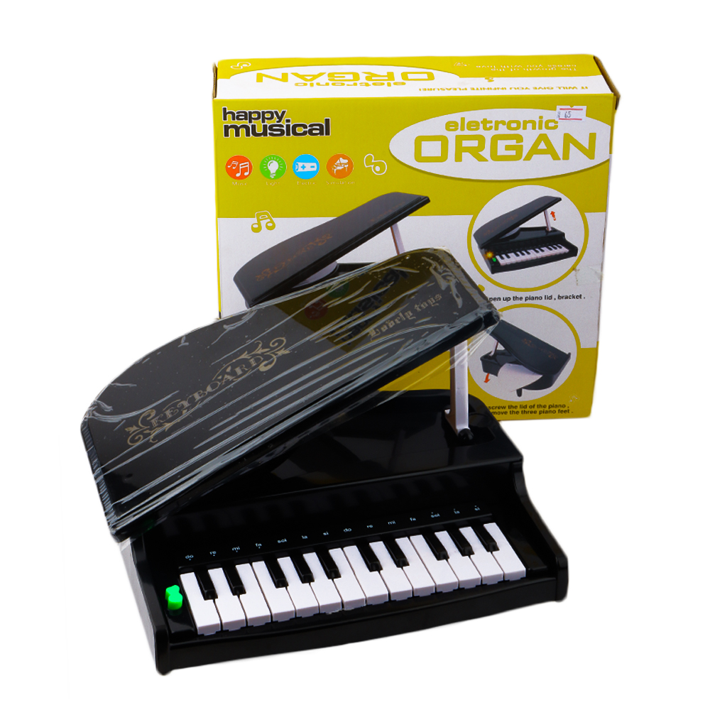 Happy Musical Electronic Organ